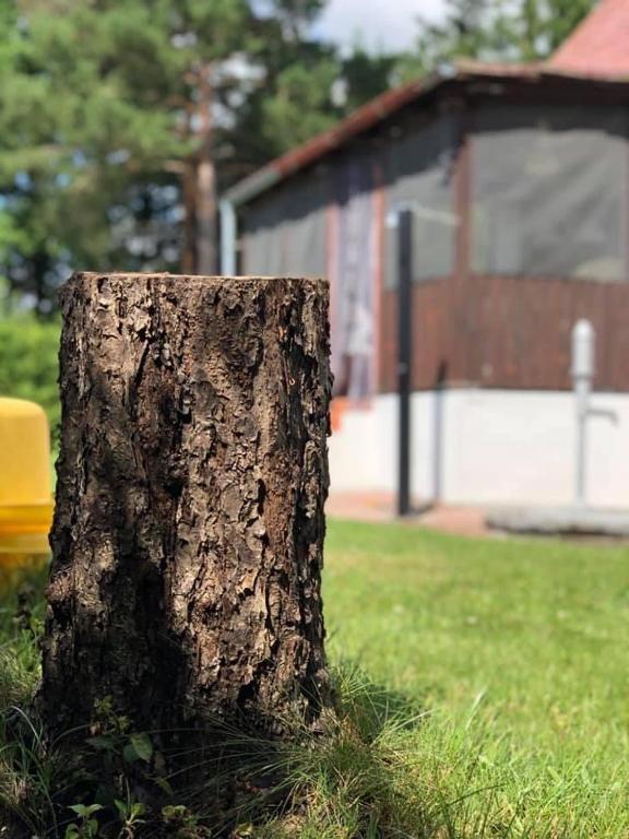 Zahrada ubytování Chata u Smolíků