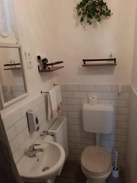 Koupelna v ubytování Edina Vintage Vendégház
