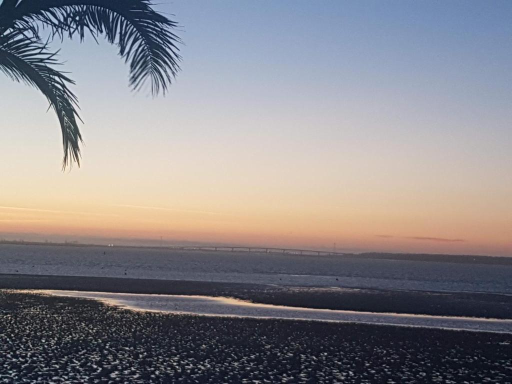 a palm tree on the beach at sunset at Hôtel L'Albatros in Saint-Trojan-les-Bains