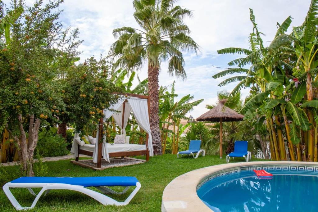a backyard with a swimming pool and palm trees at Finca el Abuelo Manuel in Vejer de la Frontera