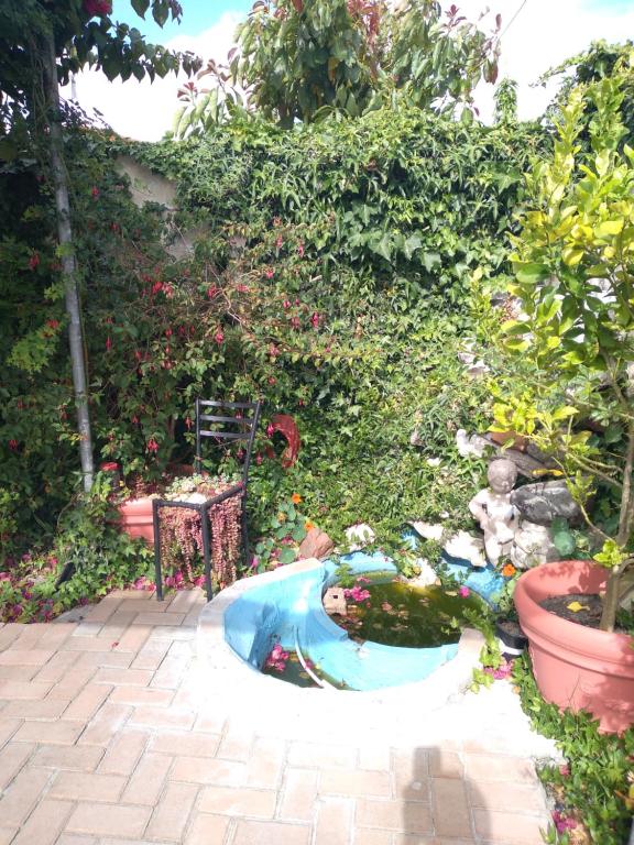 a garden with a miniature pond in a yard at 16 on Point in Parow