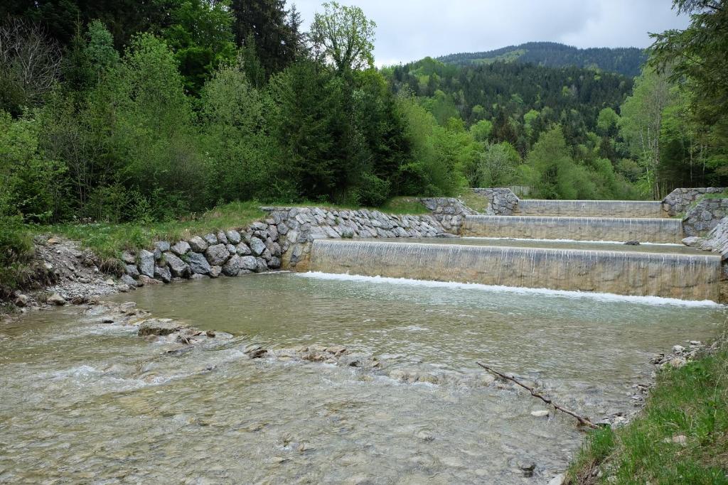 Příroda nedaleko apartmánu