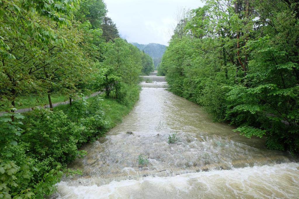 Příroda nedaleko apartmánu