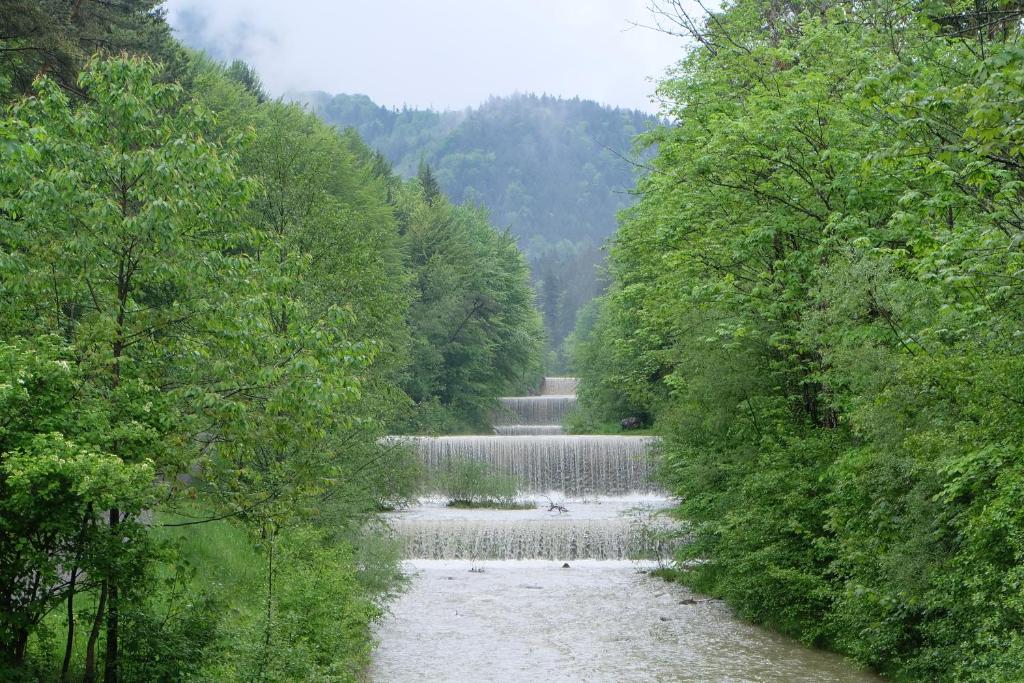 Příroda nedaleko apartmánu