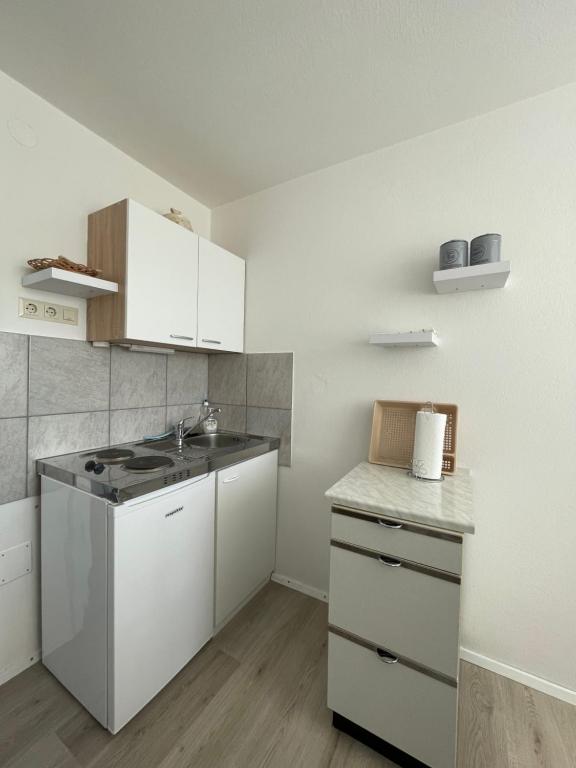 Kuchyň nebo kuchyňský kout v ubytování Apartmaji Mojca
