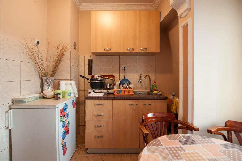 Kuchyň nebo kuchyňský kout v ubytování Guest House Pansion 10