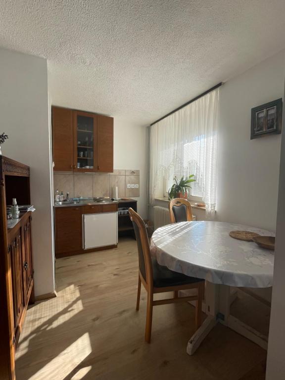 Kuchyň nebo kuchyňský kout v ubytování Apartmaji Mojca