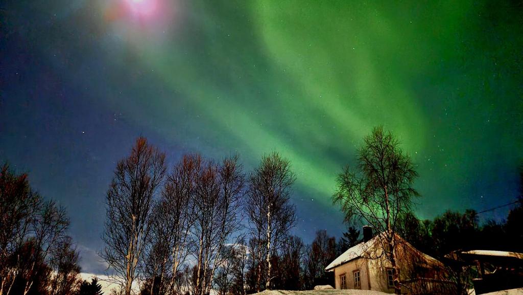 un'aurora nel cielo sopra un edificio e alberi di Cabin magic on Senja, atmosphere like a fairytale a Botnhamn