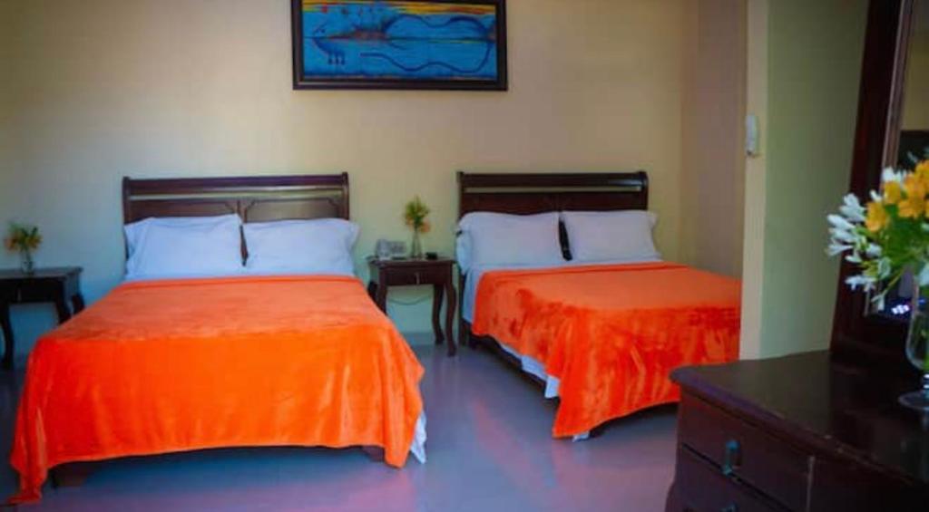 Postel nebo postele na pokoji v ubytování Hotel Luis V Santo Domingo