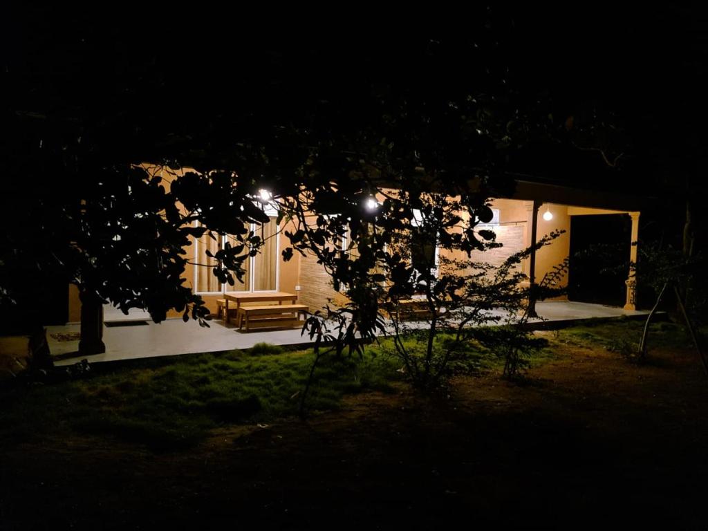 Zahrada ubytování Wilpattu Wildhideaway