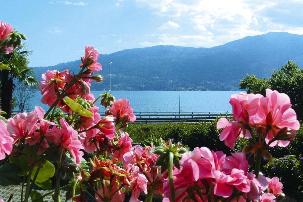 Gallery image of Apartment in Verbania near the lake in Bieno