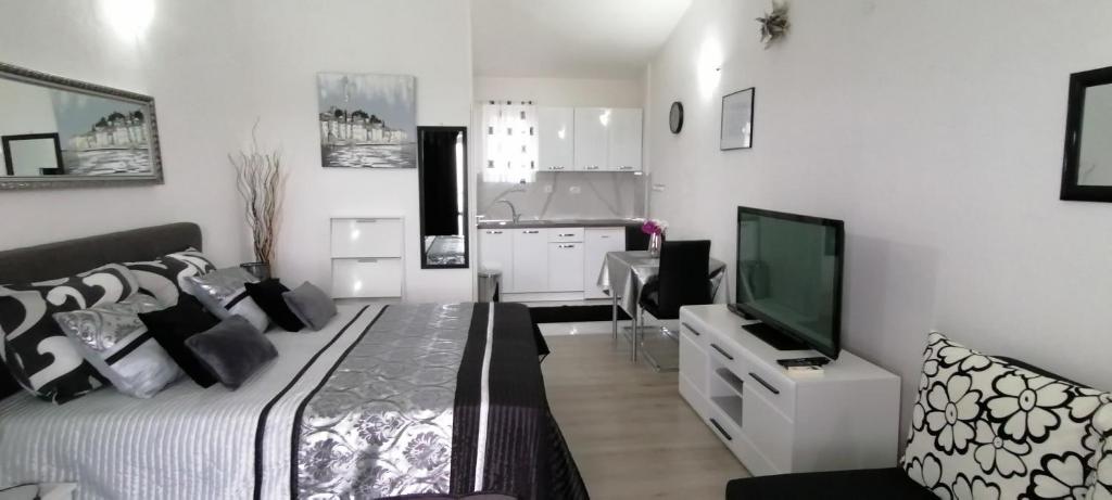 Televízia a/alebo spoločenská miestnosť v ubytovaní Beautyful sea view 6 luxury studio Danijela