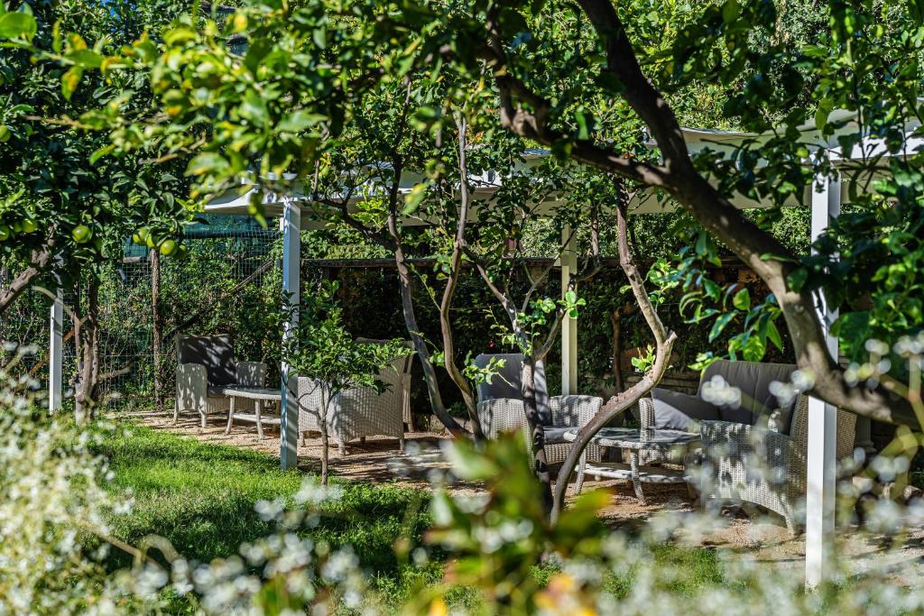 Zahrada ubytování Hotel Capri