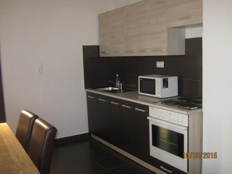 Kuchyňa alebo kuchynka v ubytovaní Apartment in Rakovica with balcony, air conditioning, Wi-Fi (601-2)