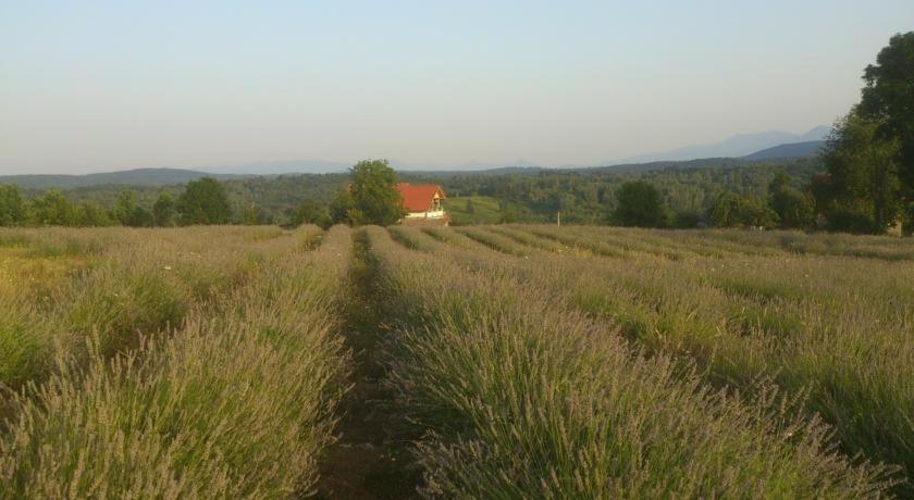 Príroda v okolí apartmánu