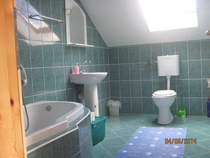 Kúpeľňa v ubytovaní Apartment in Rakovica with Terrace, Air conditioning, Wifi (601-1)