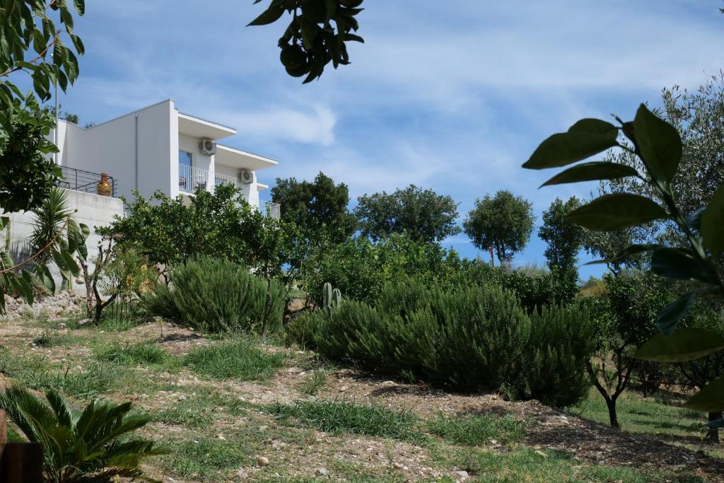 a house on top of a hill with plants at Villa Caravaggio Comfort e Relax in Rocca San Giovanni
