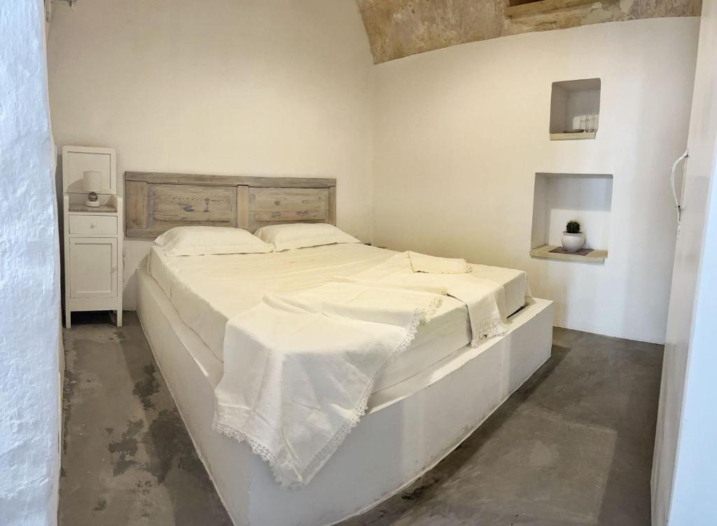 Radici Suite