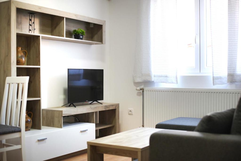 TV a/nebo společenská místnost v ubytování Aster Apartments