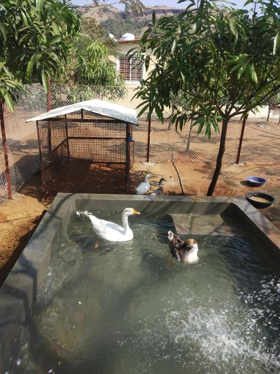 Fotografie z fotogalerie ubytování BimalFarm at Koroli Hills v destinaci Igatpuri