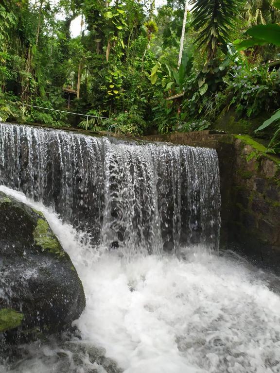 a waterfall in the middle of a forest at Toca da Onça in Penedo