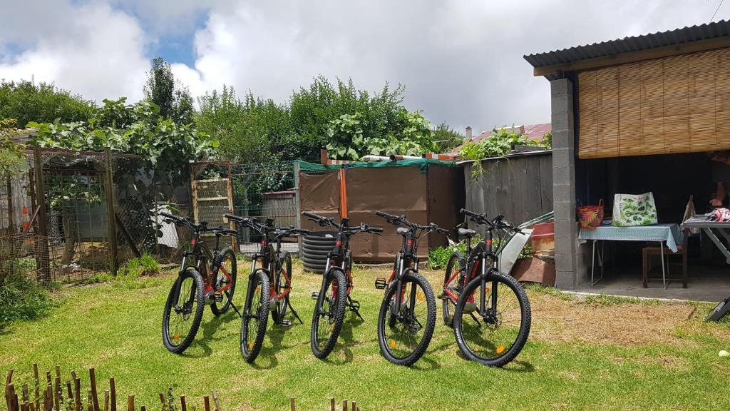 un grupo de bicicletas estacionadas en un patio en VEL'HAUTS RUN, en Le Tampon