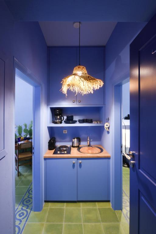 Cactus Hydra - Art Apartments - 8