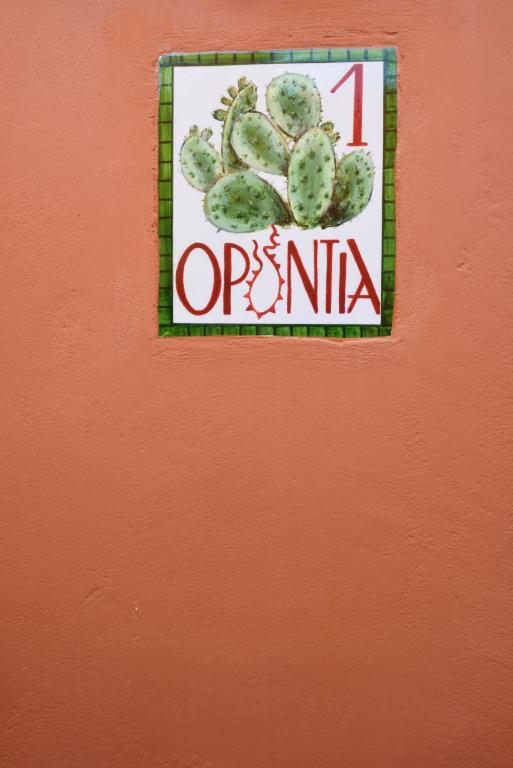 Cactus Hydra - Art Apartments - 9