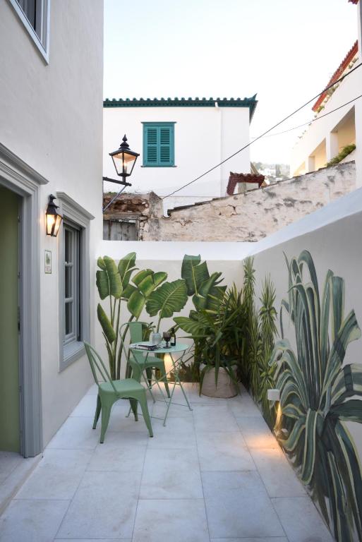 Cactus Hydra - Art Apartments - 12