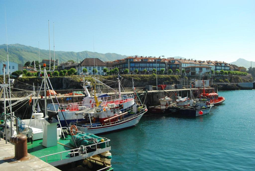 Táj Show holiday homes közelében
