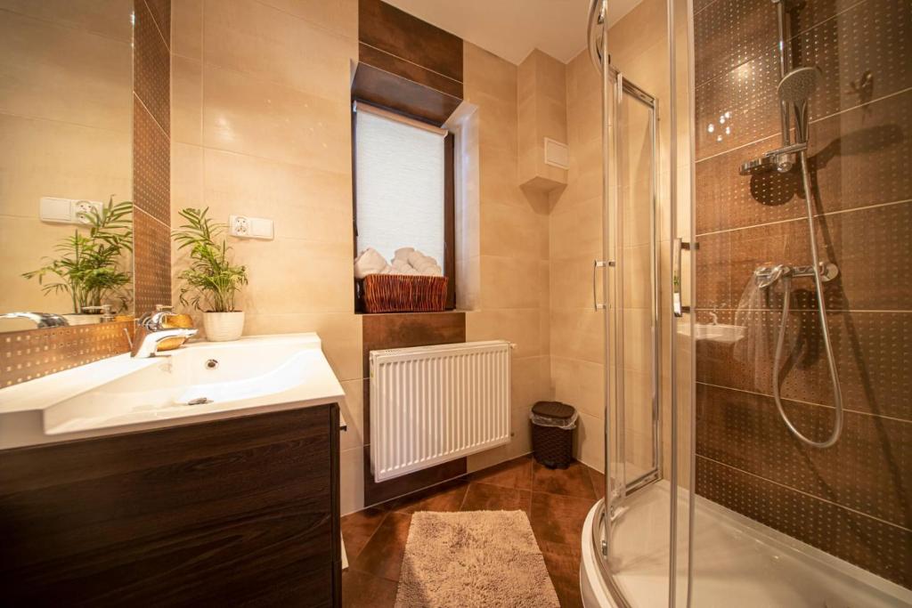 Apartamenty Małgorzatka tesisinde bir banyo