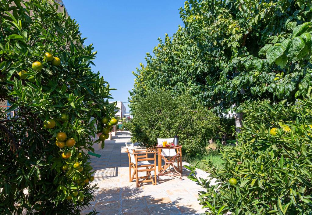 Zahrada ubytování Anesis Residence