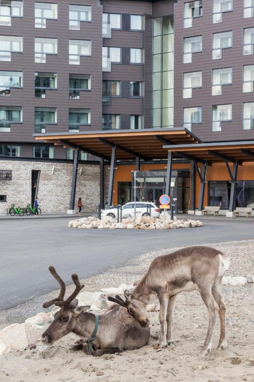 Zvířata v hotelu nebo okolí