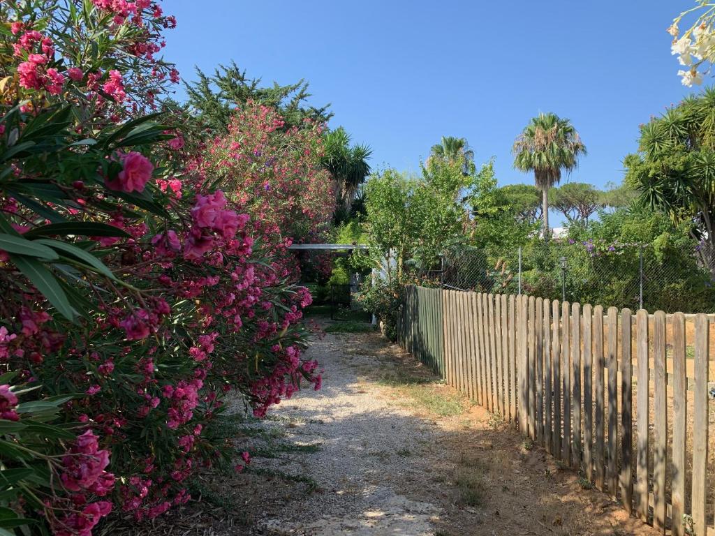 Fotografie z fotogalerie ubytování Finca Filpi v destinaci Chiclana de la Frontera