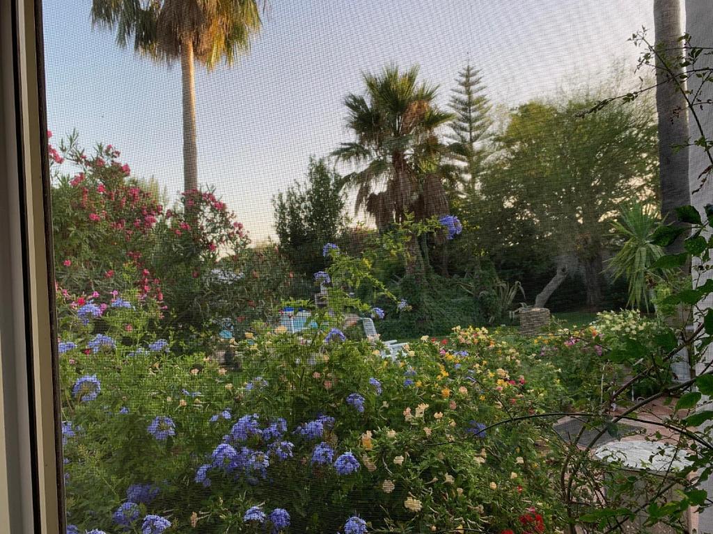 Fotografie z fotogalerie ubytování Finca Filpi v destinaci Chiclana de la Frontera