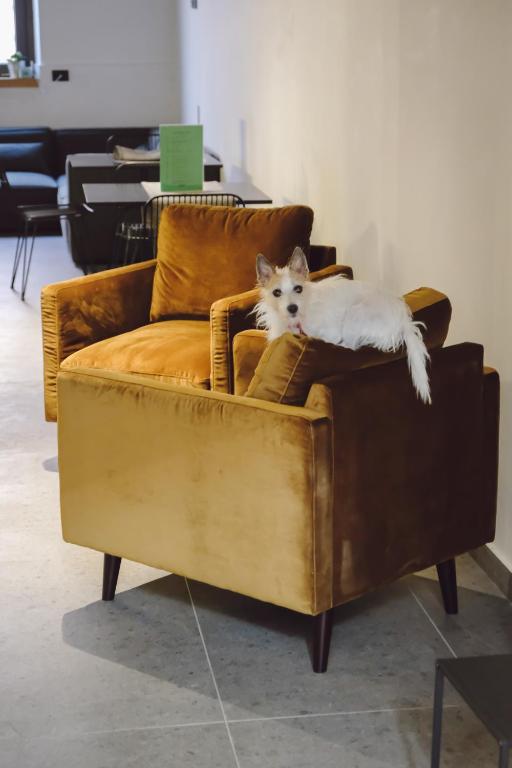 Central Lodge Hotel - Resim 31