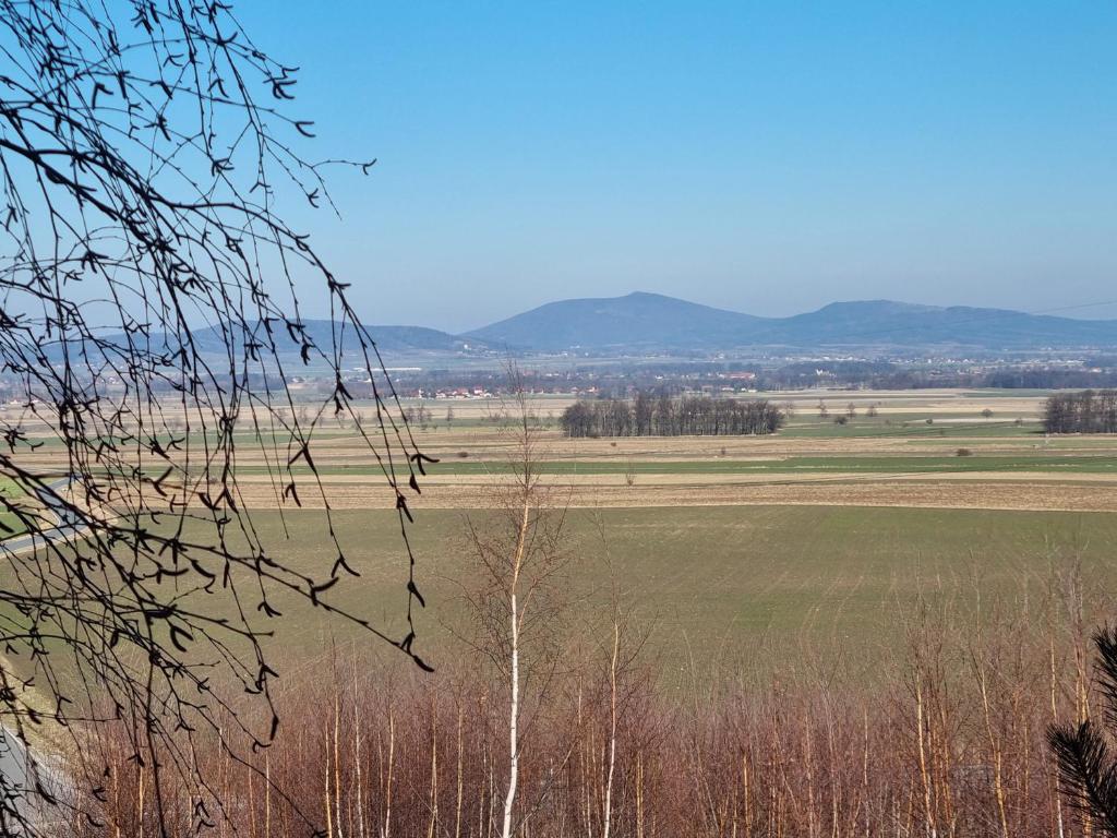 Príroda v okolí horskej chaty