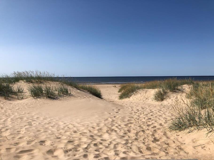 a sandy beach with grass and the ocean in the background at Hailuoto Marjaniemi - Rantasumppu Cottage 2 - With Sauna - Close to the beach in Hailuoto