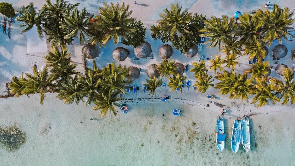 Una vista aérea de una playa con palmeras y barcos. en El Fuerte Beach Apartments, en Mahahual
