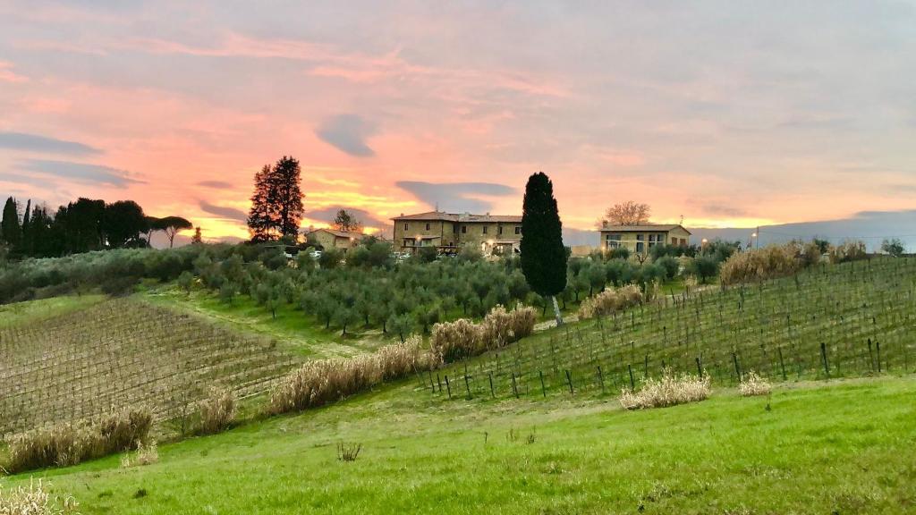 ポッジボンシにあるLaura Chianti Vacanzeの日没の見える丘の上の家があるブドウ園