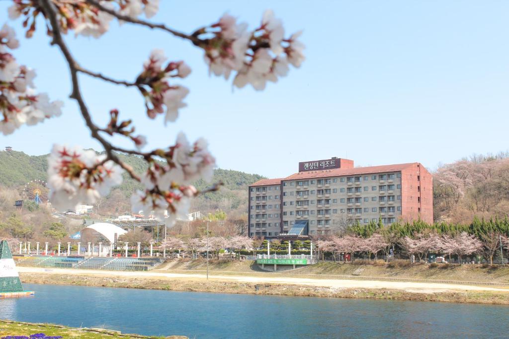 a building next to a body of water with a tree at KensingtonResort JirisanNamwon in Namwon