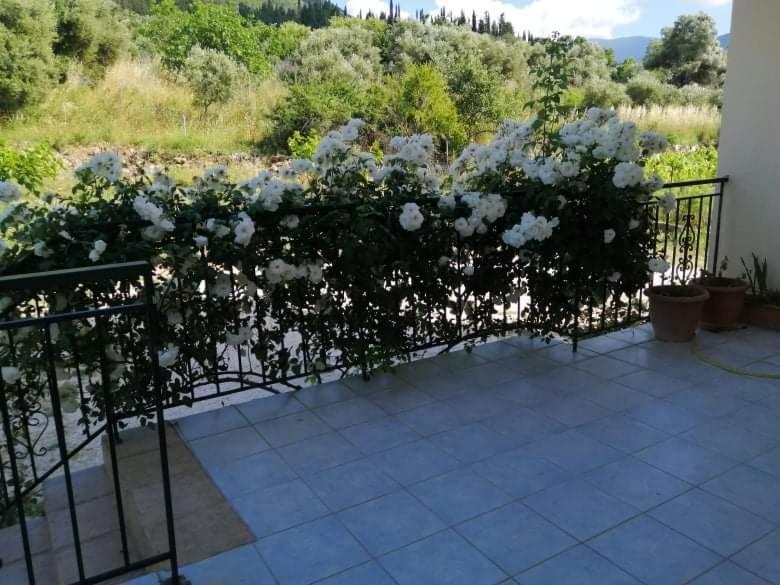 Balkón nebo terasa v ubytování Rosegarden