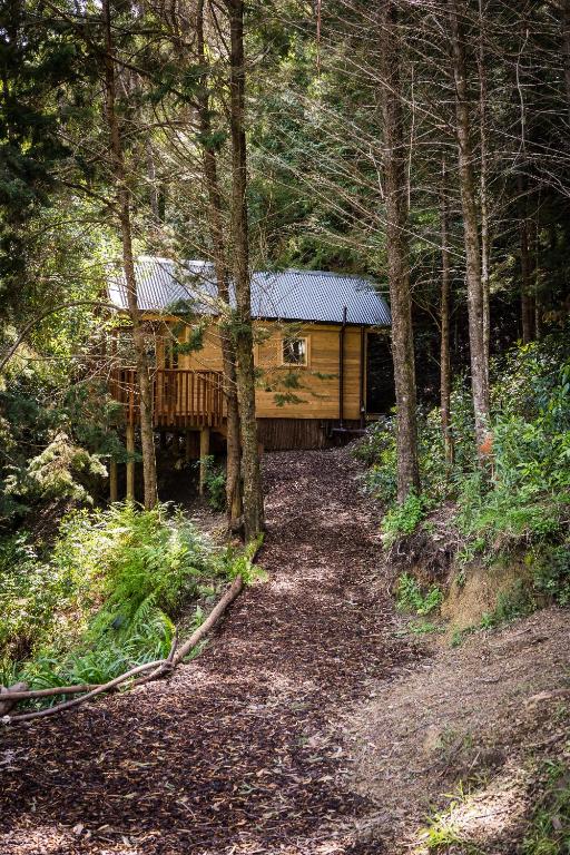 Maitai Whare Iti - Adventure Cabins & House