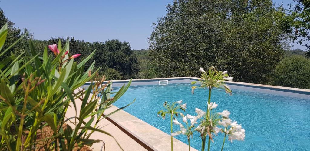 The swimming pool at or close to Domaine de La Maison d'Aum