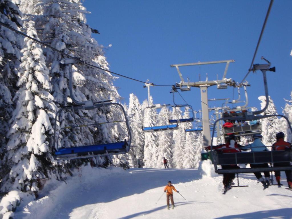 Hosté ubytování Chalet in Nassfeld ski area in Carinthia