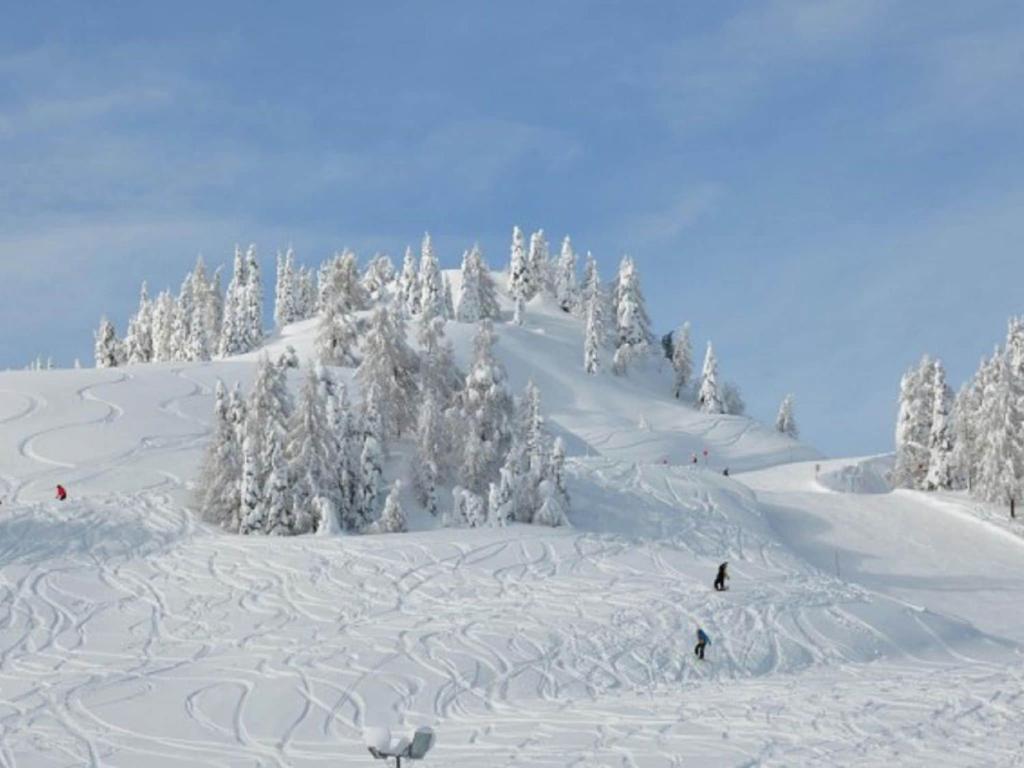 Chalet in Nassfeld ski area in Carinthia v zimě