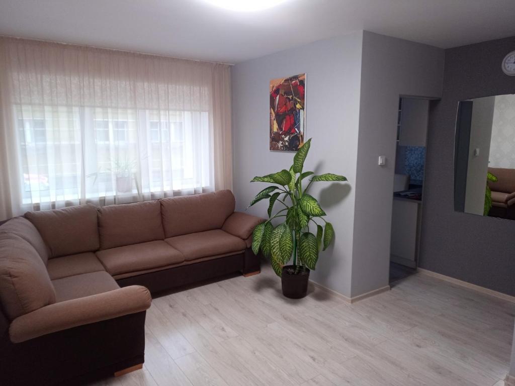un soggiorno con divano e pianta di Аппартаменты в центре Олайне для комфорта. a Olayne