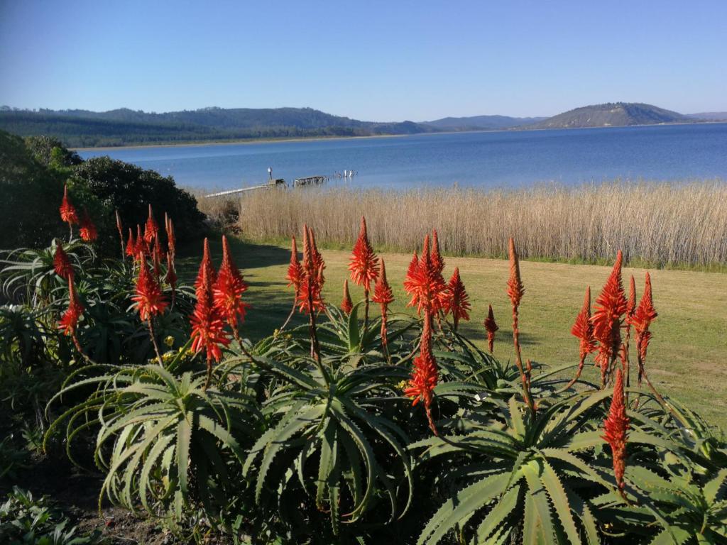 Kairos on the Lake - Image 9