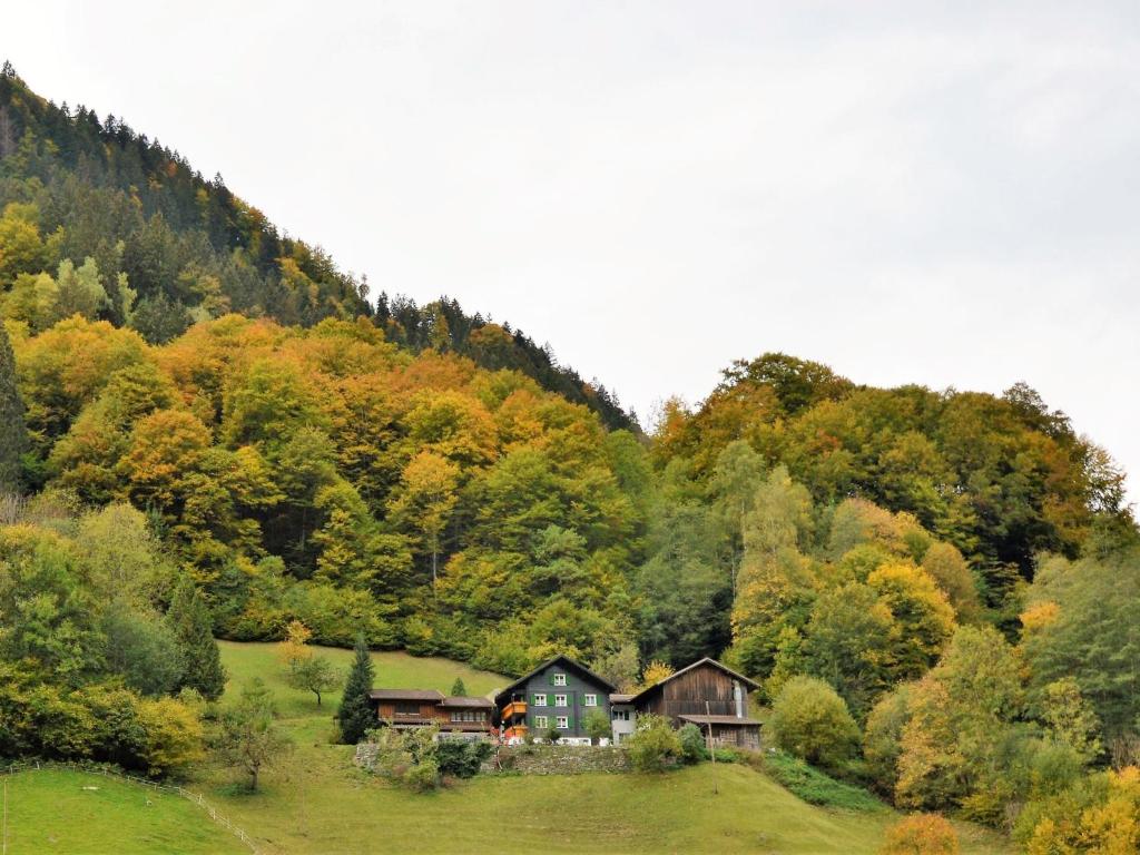 a house in the middle of a field with trees at Cozy Apartment near Ski Area in Tschagguns in Schruns