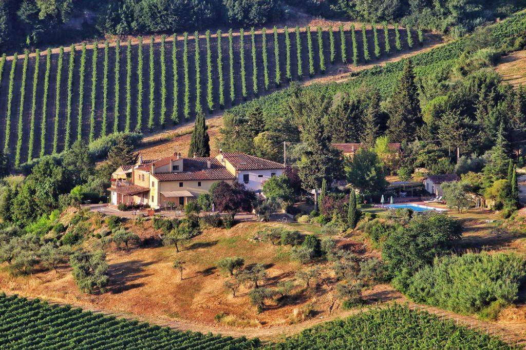 une maison sur une colline à côté d'un vignoble dans l'établissement Agriturismo La Valle A Polvereto, à Tavarnelle in Val di Pesa